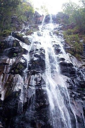 Pachmarhi Queen of Satpura Family Bundle